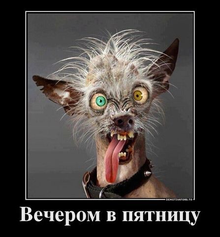 Андрей Бабушкин