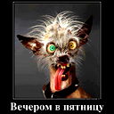 Андрей Бабушкин