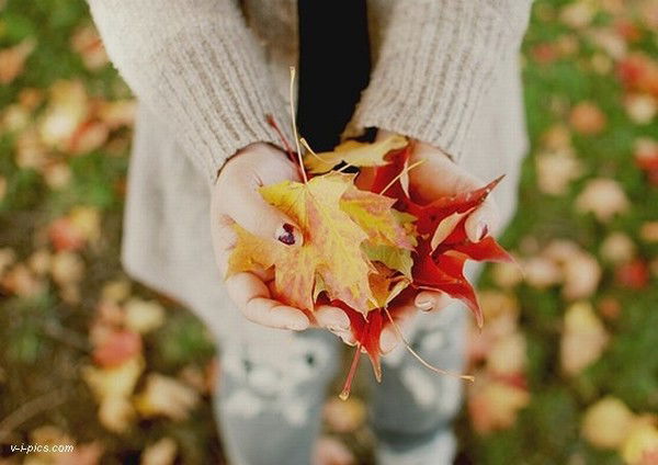 Инга Толочко