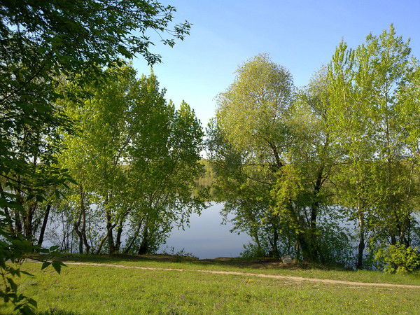 Альберт Гарифуллин