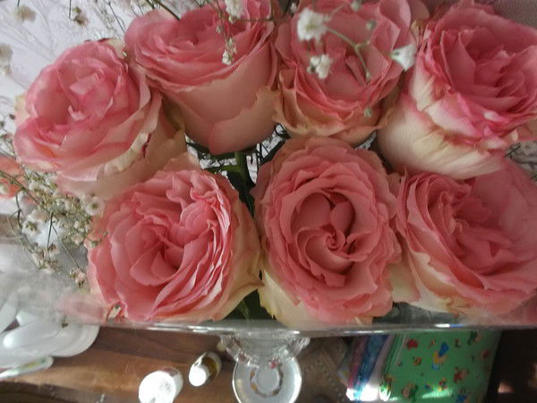 Татьяна Жегулевцева