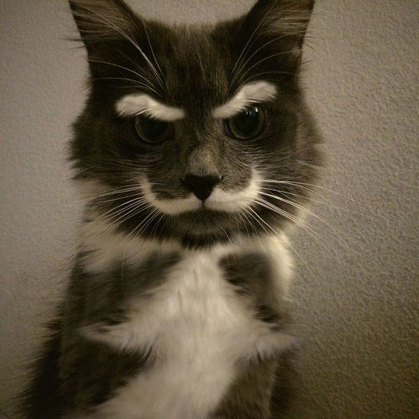 Евгений Пешков