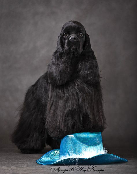 Ольга Малютина