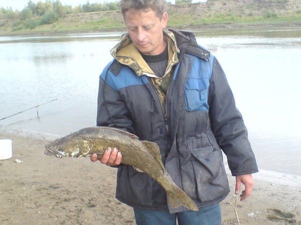 Вован Вованов