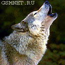 Алексей Zzzzz