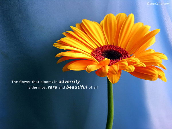 Ольга Михеда