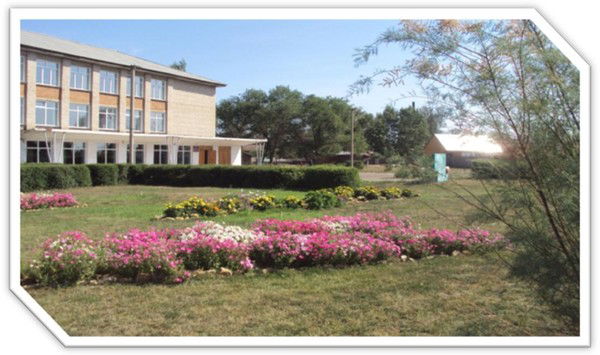 Волчихинская Сш №1