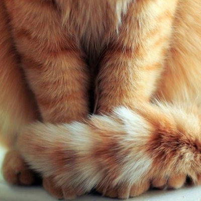 Азалия Гарипова