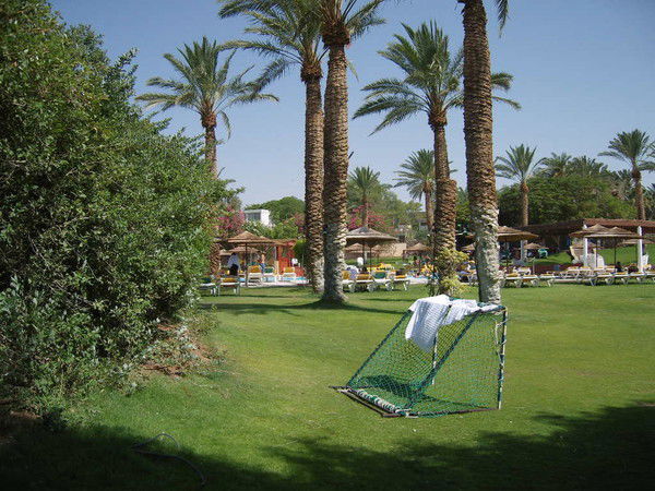 Наталья Дёмочкина