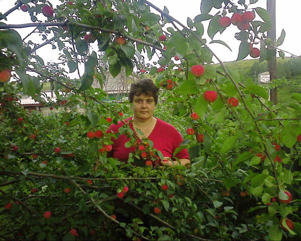 Наталья Силина