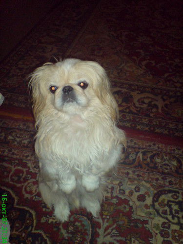 Екатерина Зерницкая