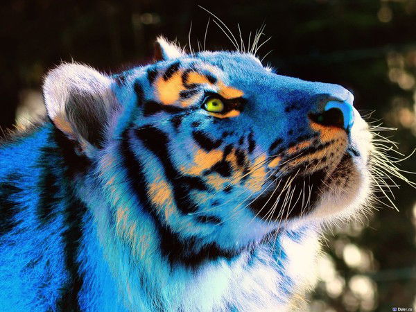 Алексей Бобылев