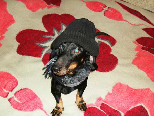 Сергей Кульша