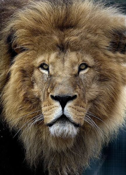 Петров Сергей