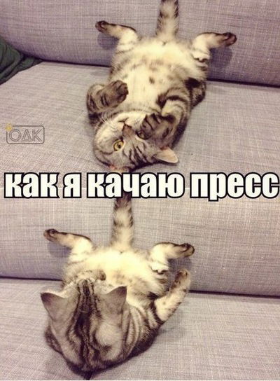 Анастасия Каткова