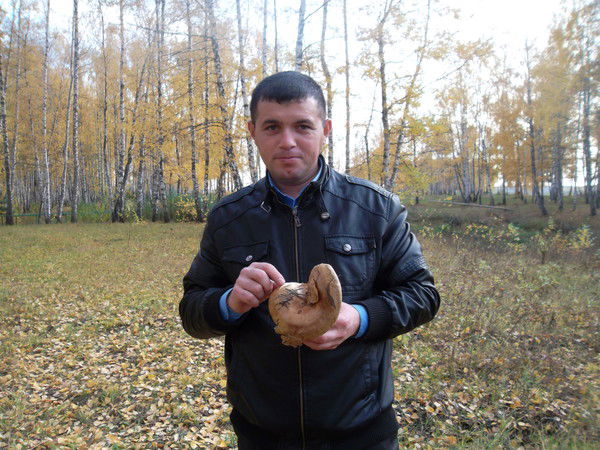 Азат Хасаншин