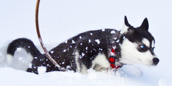 Константин Хандурин