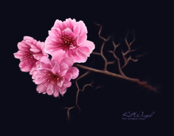 Фарида Иманова