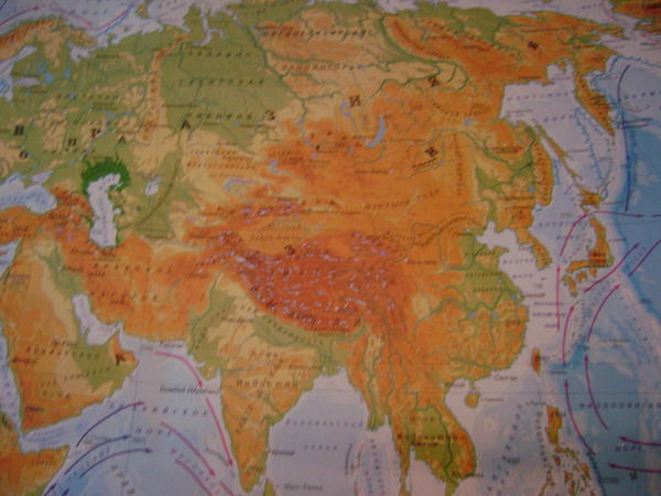 Ксения Шаповаленко