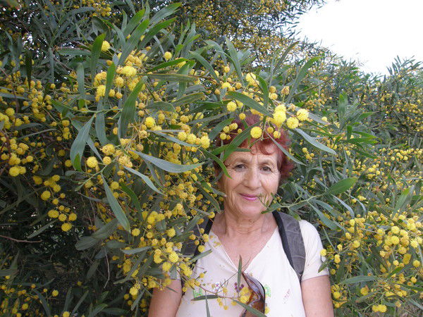 Жанна Спектор