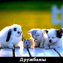Инесса Чистякова