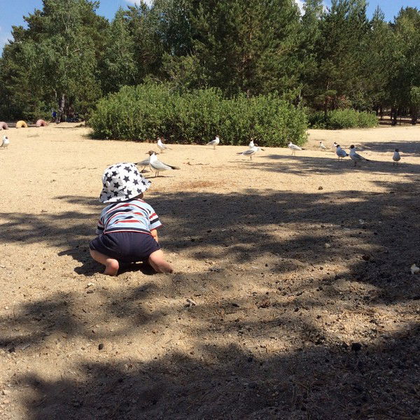 Алена Комарова