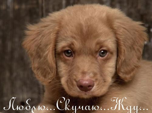 Юность Билайн