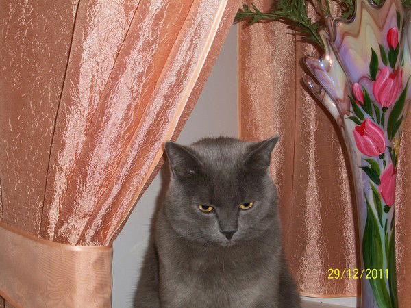 Алексей Чумаков