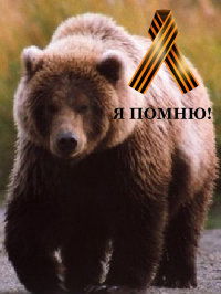 Дима Самохин