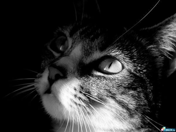 Сергей Сергеев