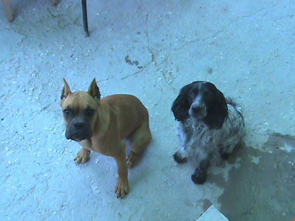 Сергей Прохоркин