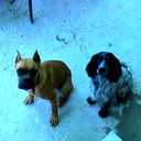 Сергей Прохоркин