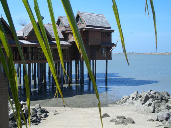 Лина Шевченко