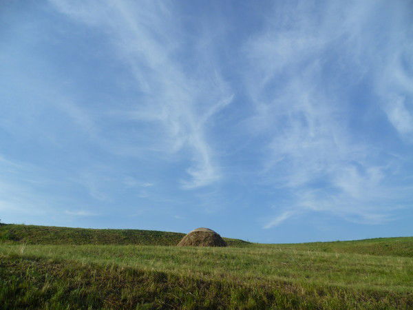 Денис Асташов