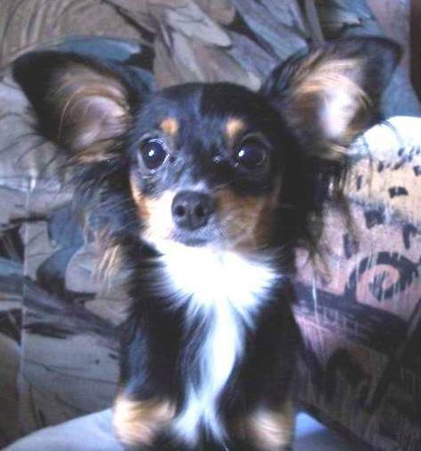 Лариса Бонита