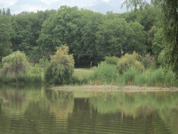 Гульнара Маматова