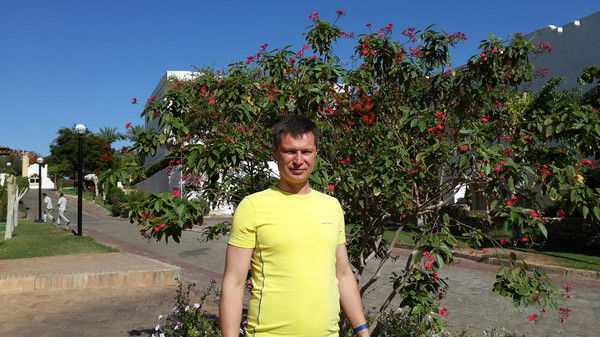 Транспортный Участок Сеалик