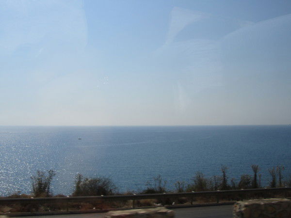 Елена Владимировна