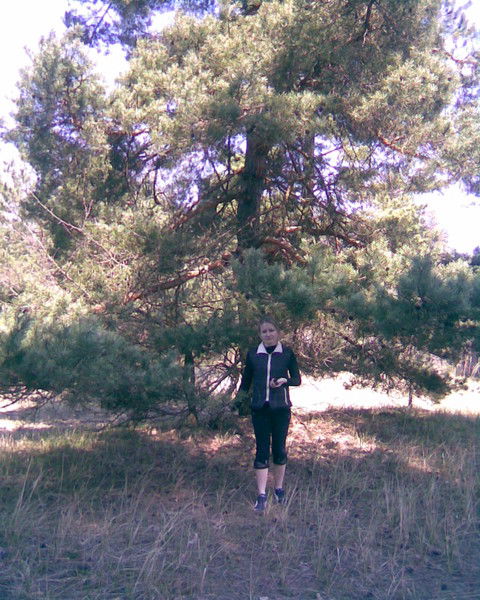 Светлана Гончаренко