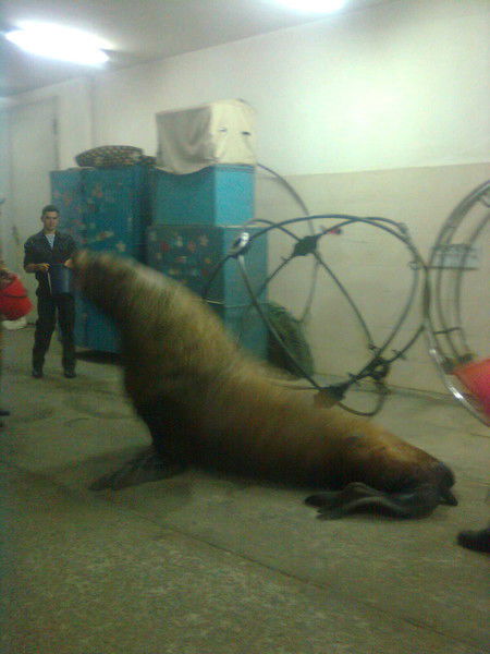 Ирина Червякова