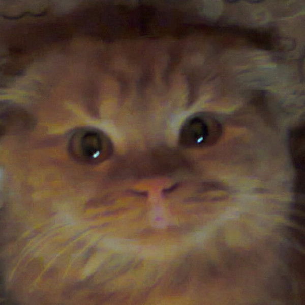 Алекс Мирный