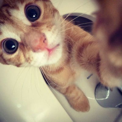 Максим Бэйчану