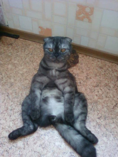 Ирина Додонова