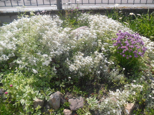 Галина )))))))