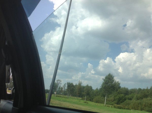 Михаил Васильев