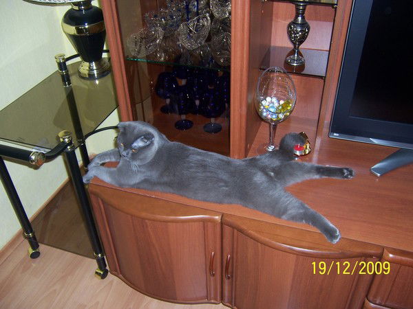 Ирина Демидова