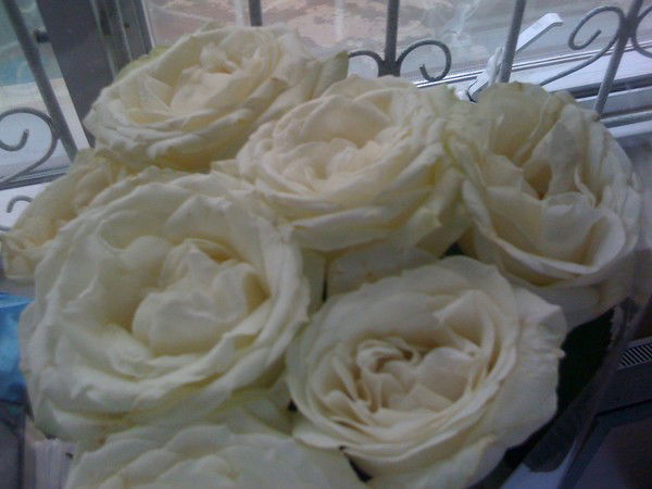 Мадина Жолдыбаева