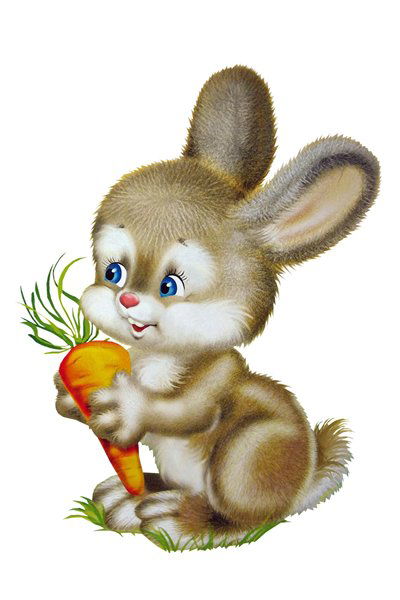 Анастасия Емелькина