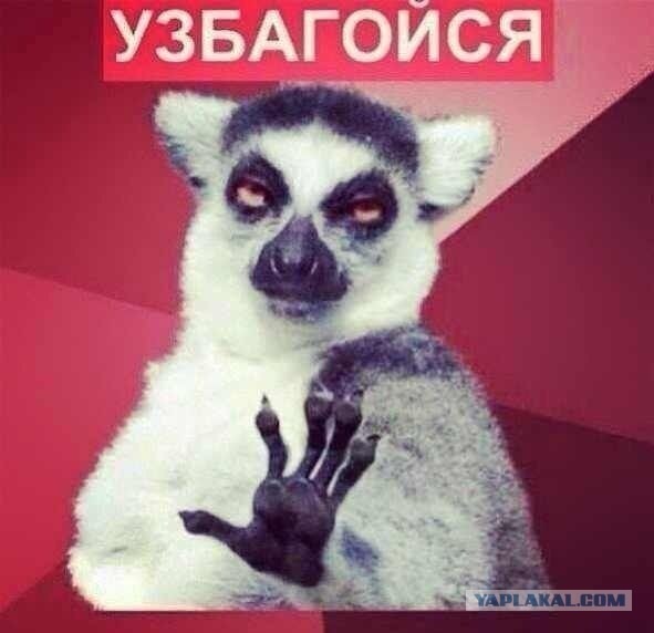 Беляев Михаил