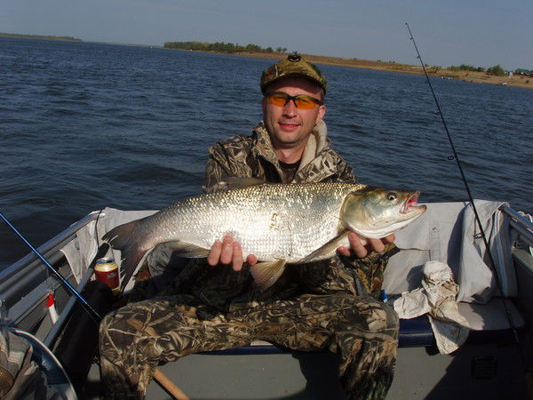 Игорь Завьялов